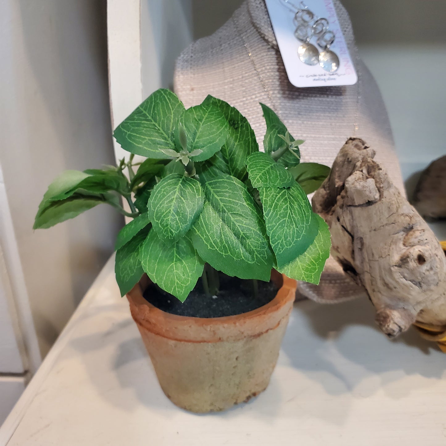 Potted Mint or Basil