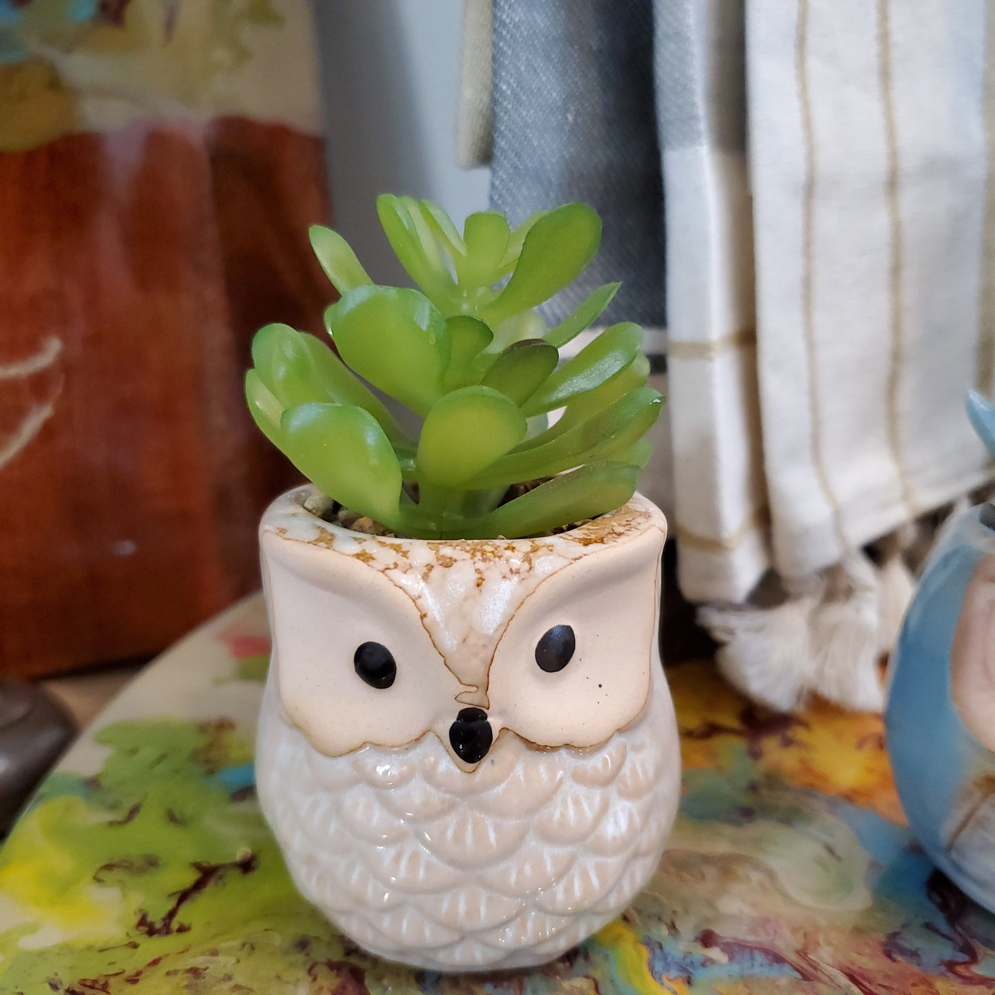 Owl Succulent Pots