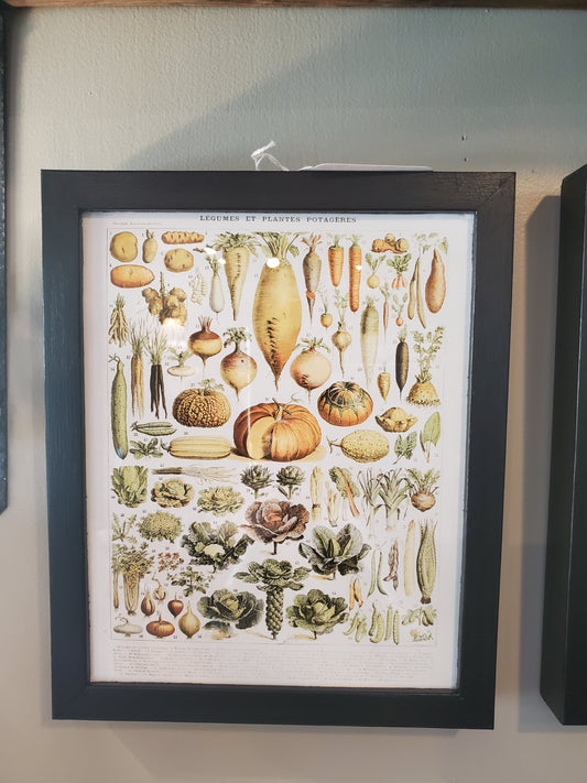 Vintage Vegetables Framed Bookplate Print II