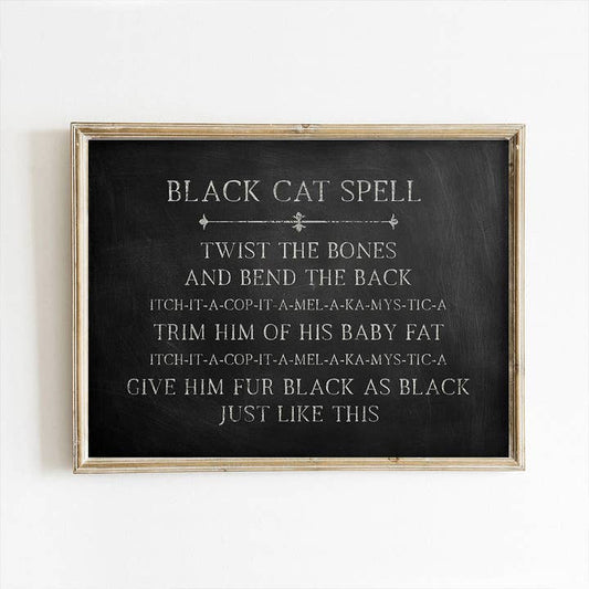 Black Cat Spell Art Print