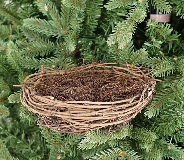 Large Bird's Nest