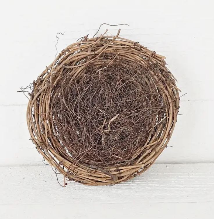 Large Bird's Nest